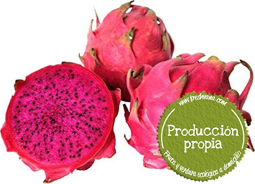 Fruta De Drag N Roja Pitahaya Ecol Gica De Freshvana Del Campo A Tu